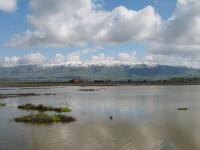 IMG_0137.JPG
