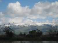 IMG_0143.JPG