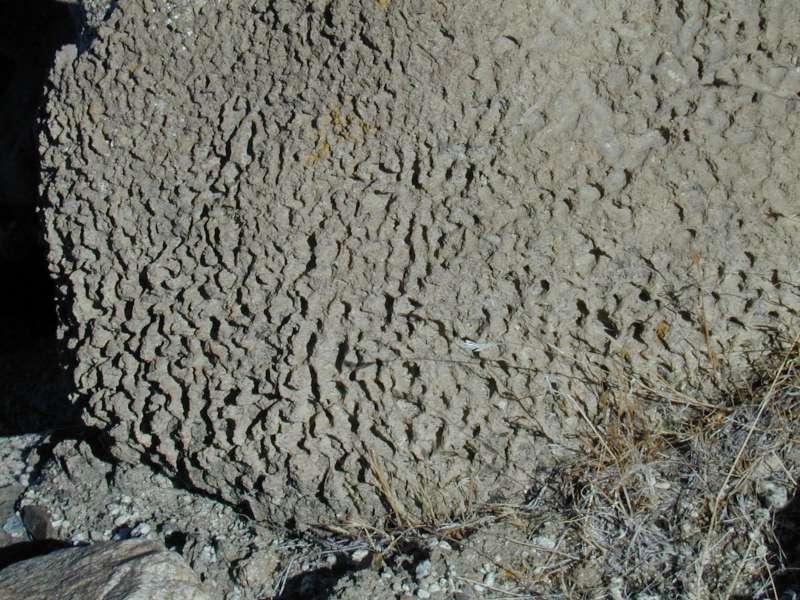 DSCN3583.JPG