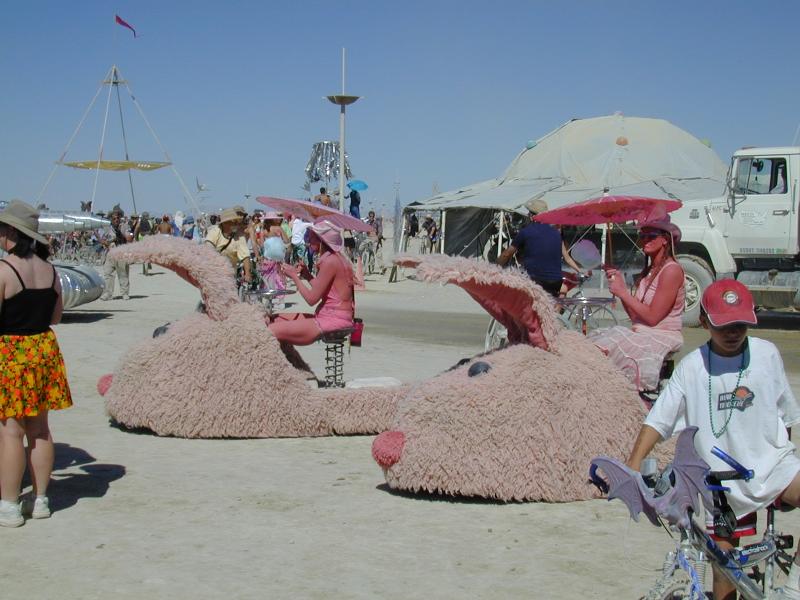 DSCN3663.JPG