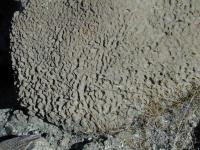 DSCN3583.JPG