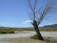 DSCN3590.JPG