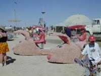 DSCN3663.JPG