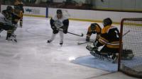 IMG_9731.JPG