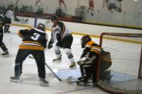 IMG_9766.JPG