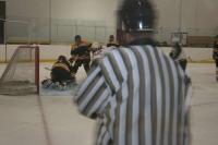 IMG_9774.JPG