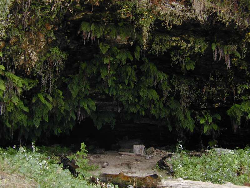 DSCN5131.JPG