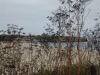 DSCN5117.JPG