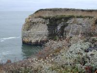 DSCN5121.JPG