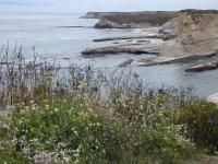 DSCN5130.JPG