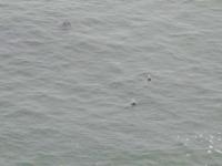 DSCN5135.JPG