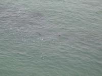 DSCN5138.JPG
