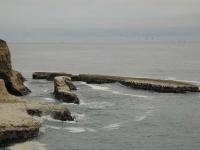 DSCN5144.JPG
