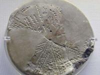 Cuneiform planisphere