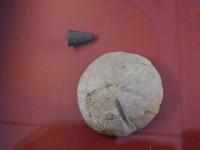 DSCN5023.JPG