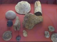 DSCN5025.JPG