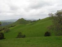IMG_0349.JPG