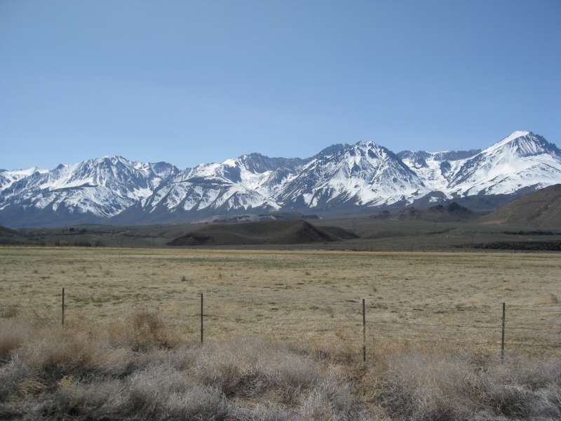 IMG_7568.JPG
