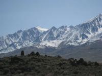 IMG_7574.JPG