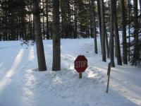 IMG_7622.JPG