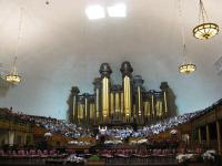 IMG_7207.JPG