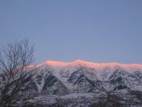 IMG_7365.JPG