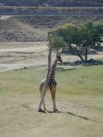 DSCN3861.JPG