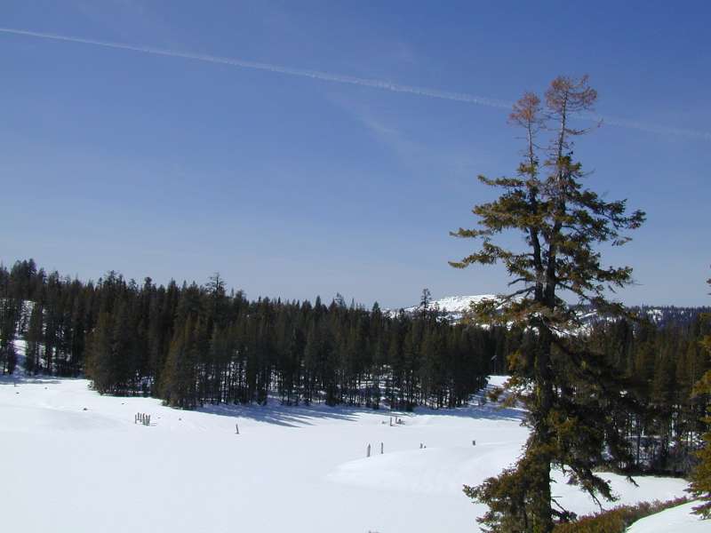 DSCN4397.JPG