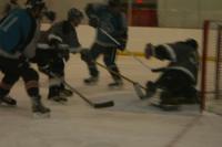 IMG_4554.JPG