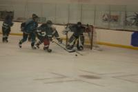 IMG_4596.JPG