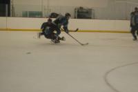 IMG_4597.JPG