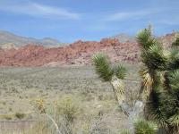 DSCN3908.JPG