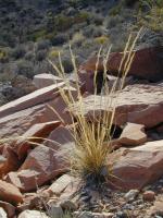 DSCN3953.JPG
