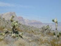 DSCN3985.JPG