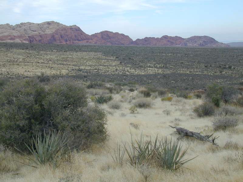 DSCN5189.JPG