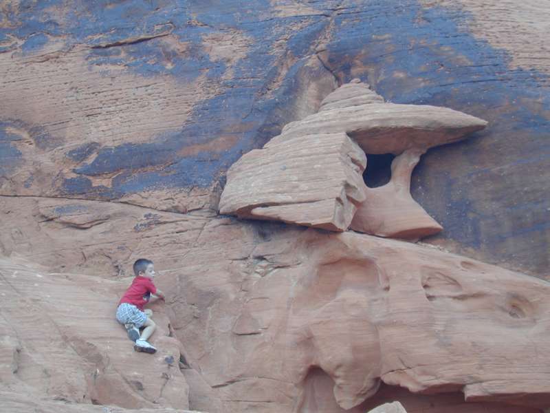 DSCN5203.JPG