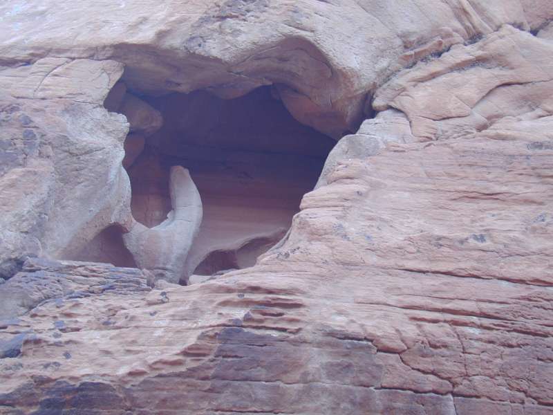 DSCN5247.JPG
