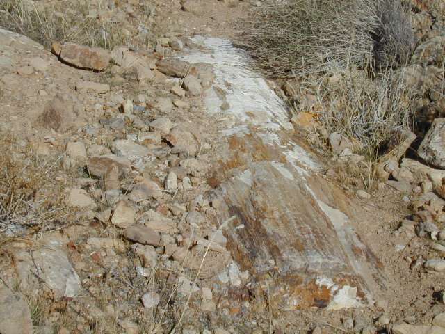 DSCN5309.JPG