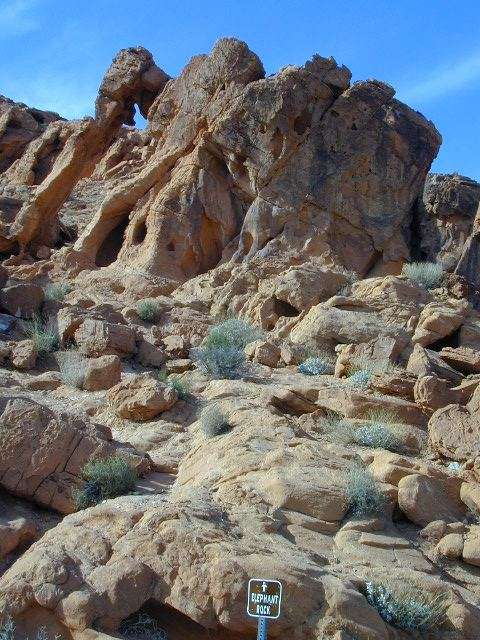 DSCN5344.JPG