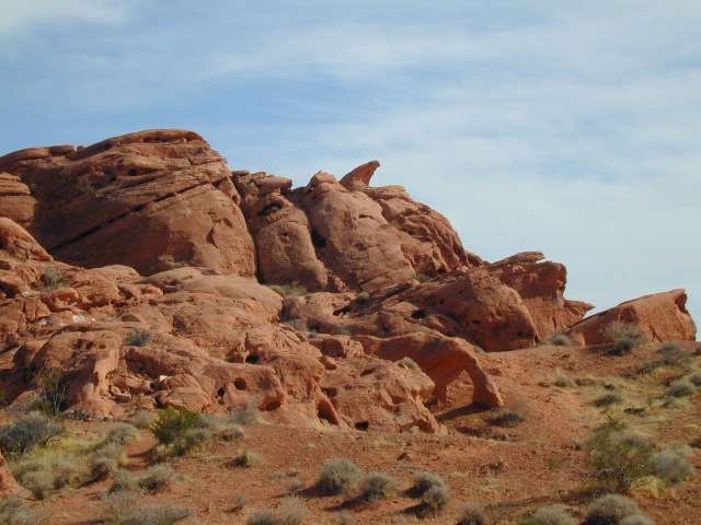 DSCN5346.JPG