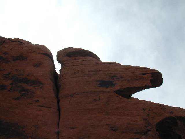 DSCN5368.JPG