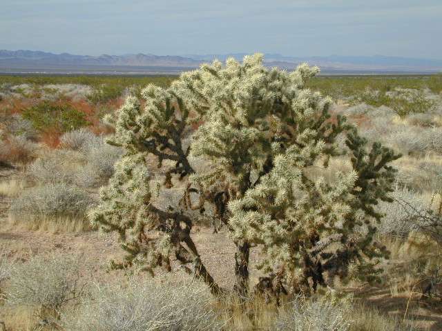 DSCN5378.JPG