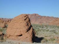 DSCN5198.JPG