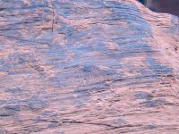 DSCN5239.JPG