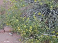 DSCN5261.JPG