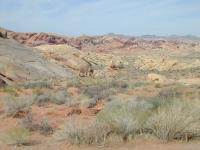 DSCN5314.JPG