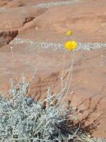 DSCN5315.JPG