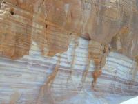 DSCN5318.JPG