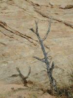 DSCN5325.JPG