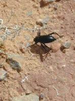 DSCN5326.JPG